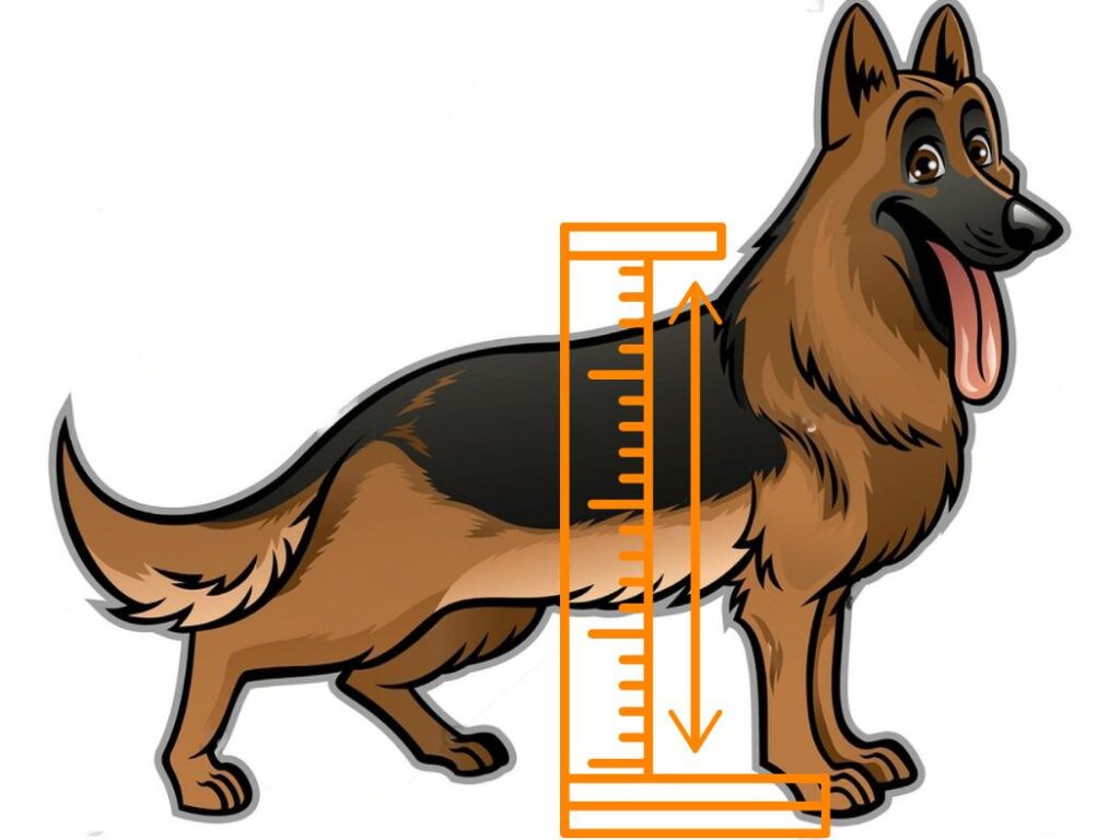 Measuring the height of a GSD
