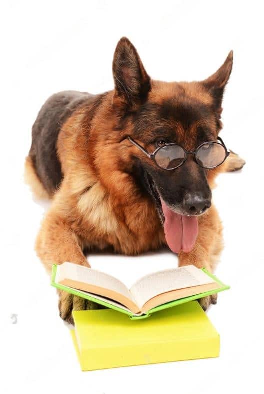gsd reading book