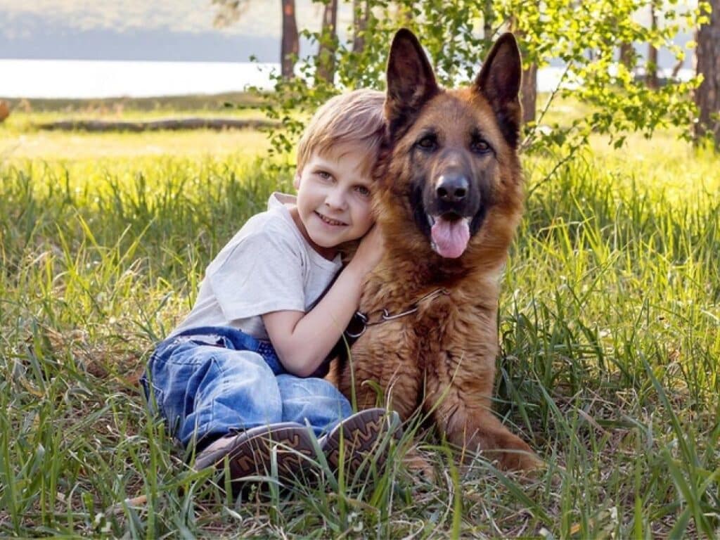 german shepherd with a child