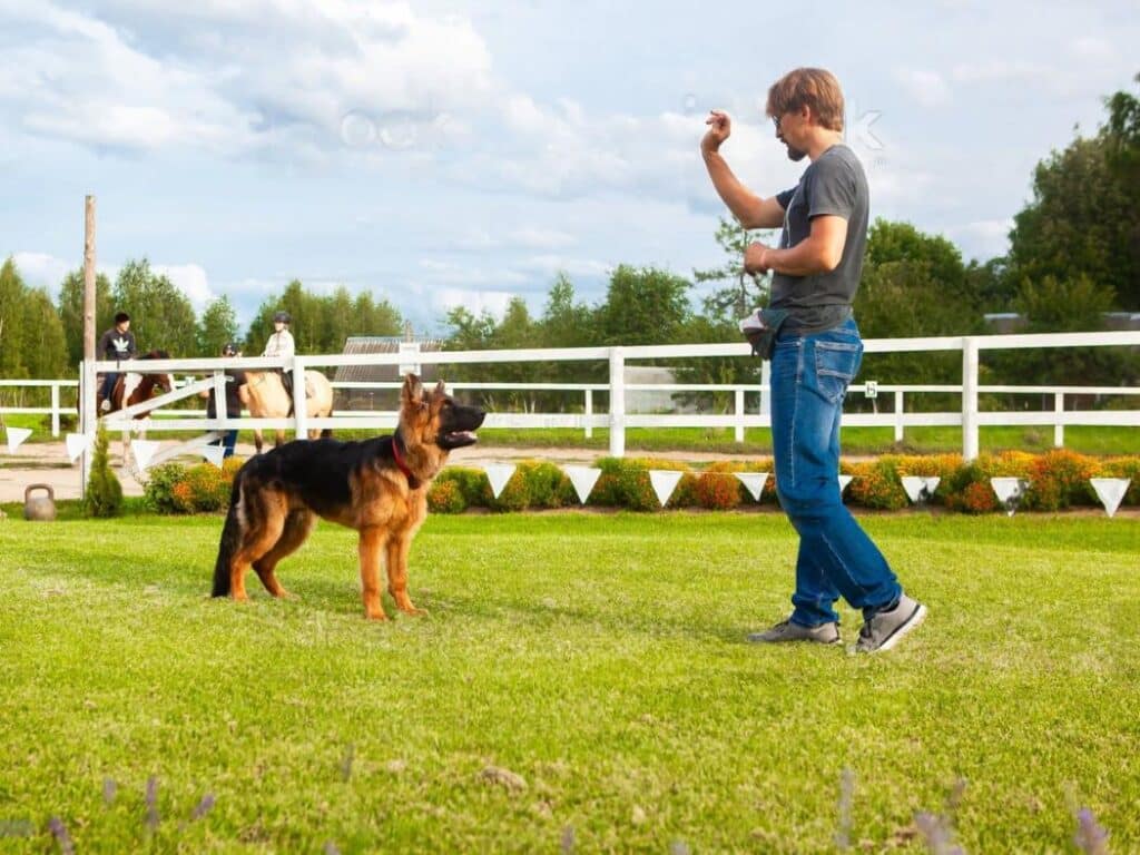 GSD learning "Fetch" training commands