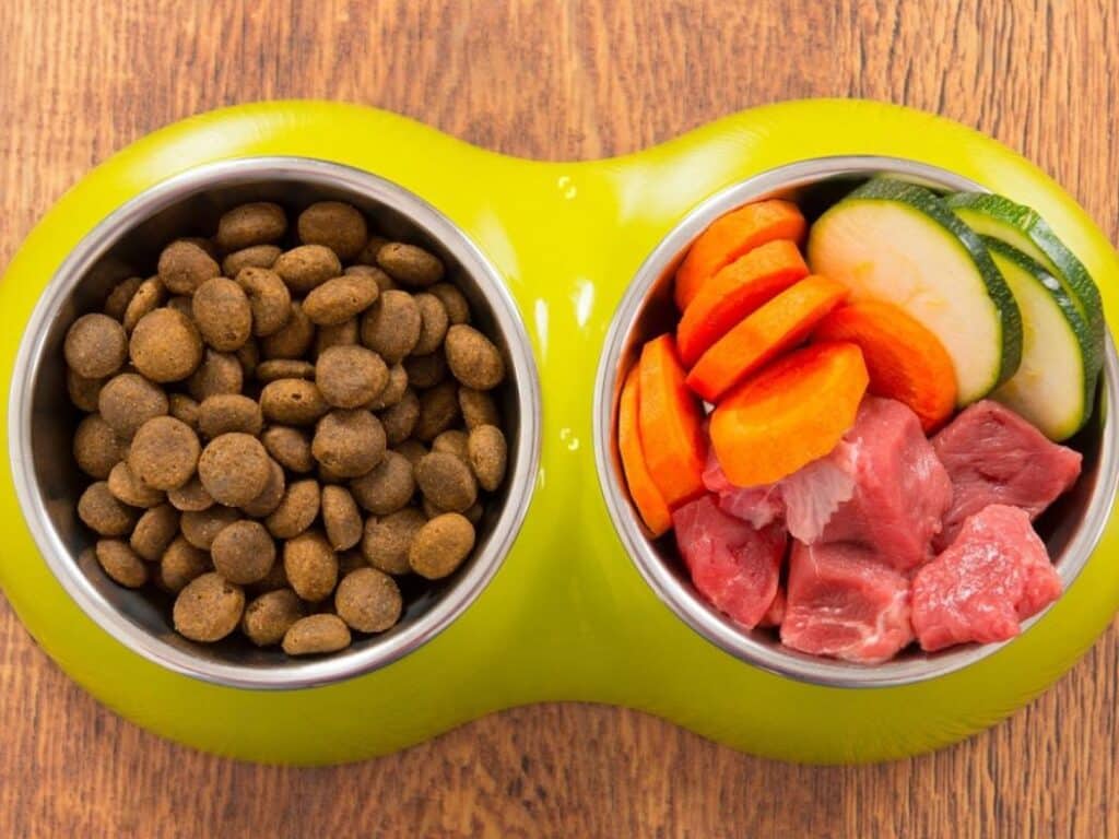raw diet vs regular food for german shepherd pup