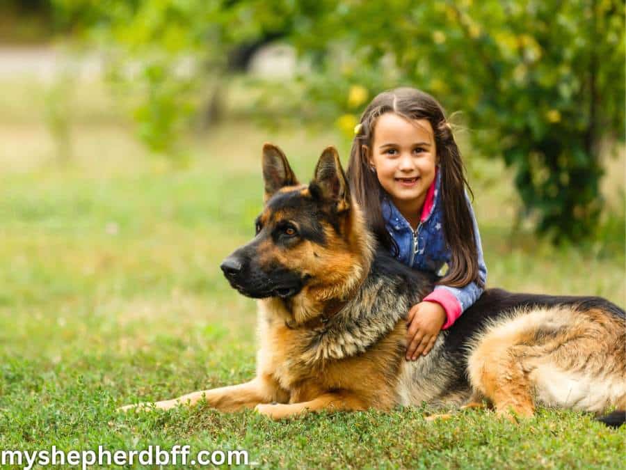 german shepherds are good with childern