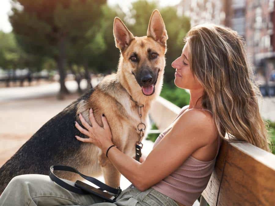 are german shepherds aggressive towards humans