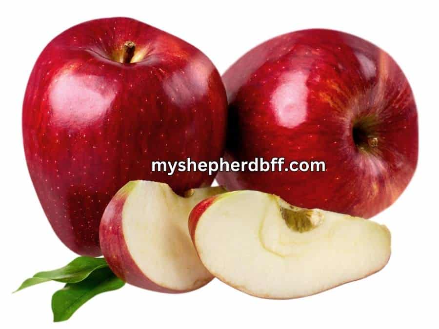 apple is a safe fruit that german shepherds can eat
