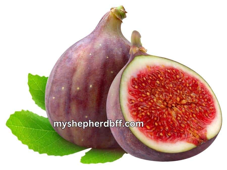 figs are a safe fruit that german shepherds can eat