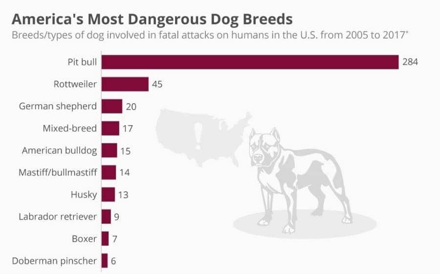 German shepherds are the third most dangerous dog breed in the US