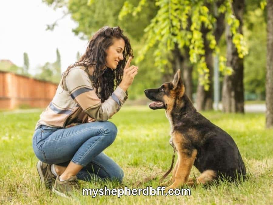 train german shepherd puppy to stop biting
