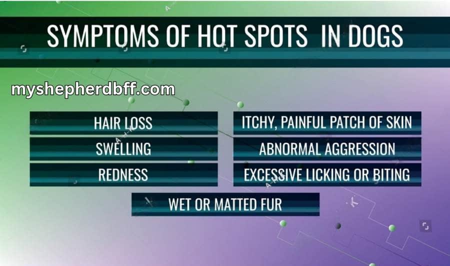 symptoms of hot spots in german shepherd