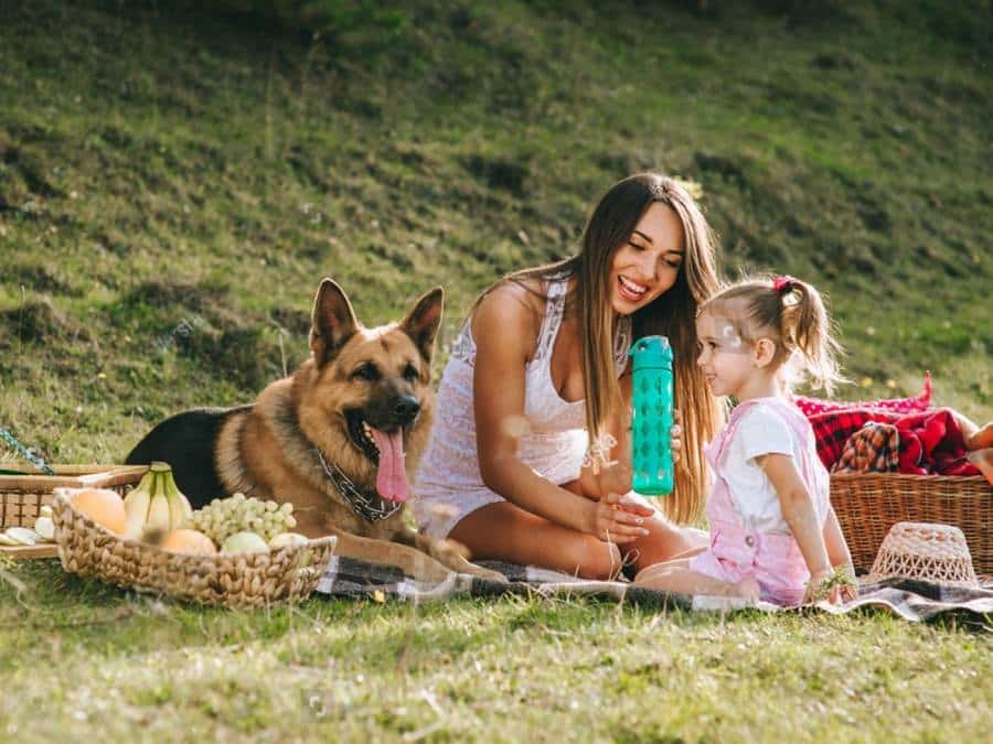 is German Shepherd right for your family