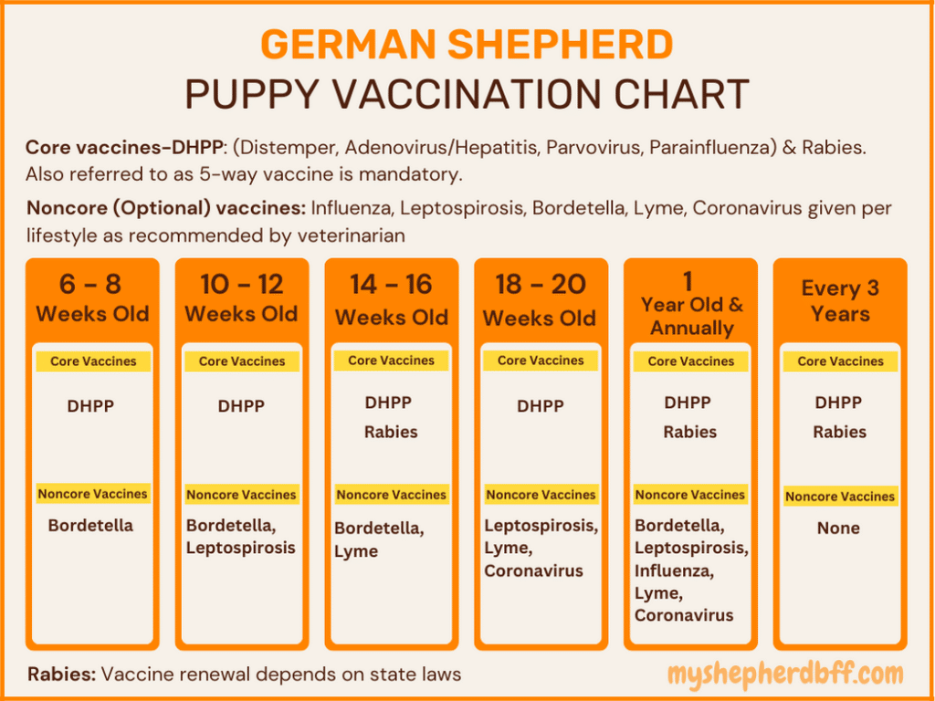 German Shepherd puppy vaccination chart