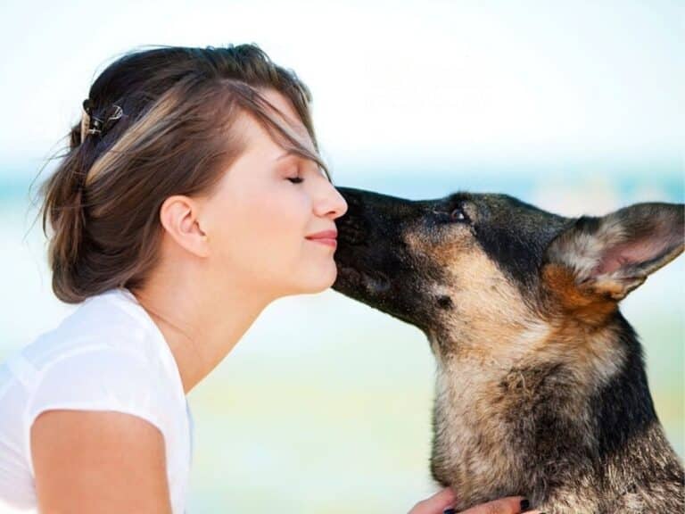 German Shepherd Signs of Affection That Will Melt Your Heart