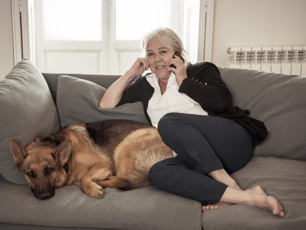 Why Are German Shepherds So Clingy? 6 Reasons Explained