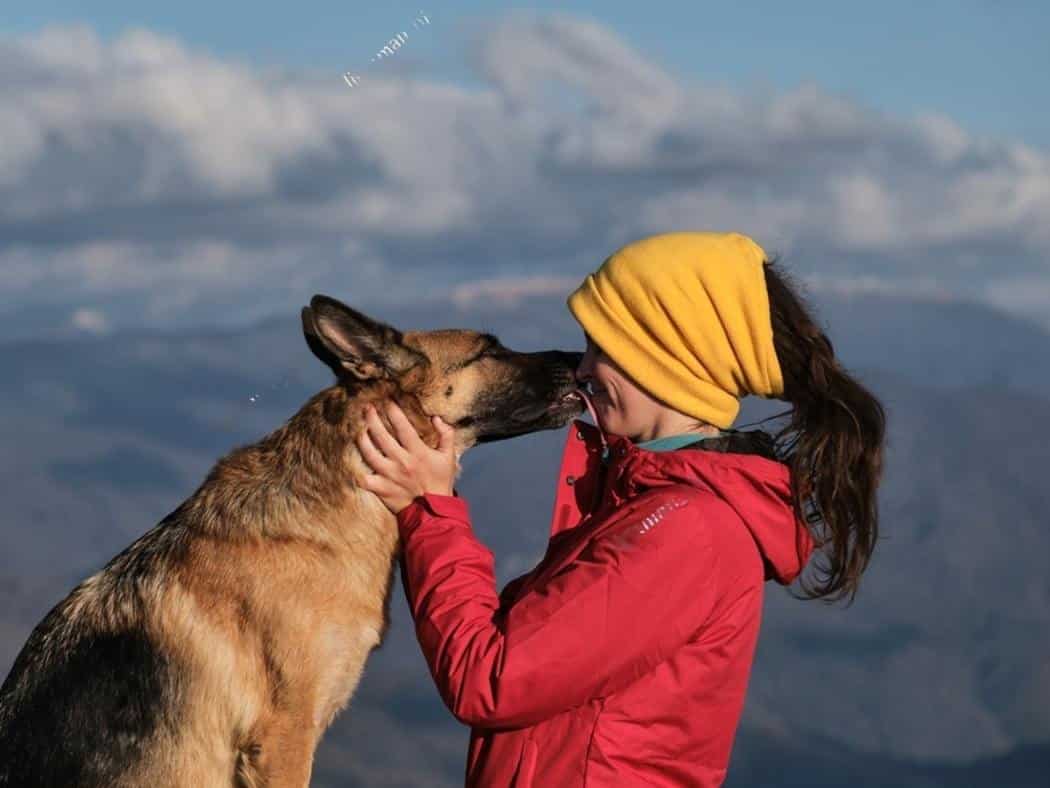 Why Are German Shepherds So Clingy? 6 Reasons Explained