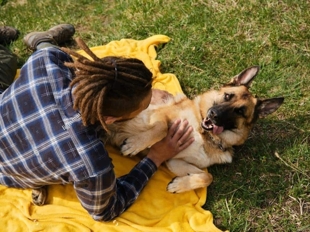 Why Are German Shepherds So Clingy? 6 Reasons Explained