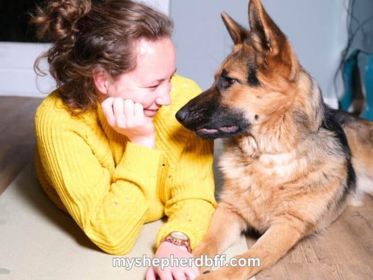 german shepherd behavior explained