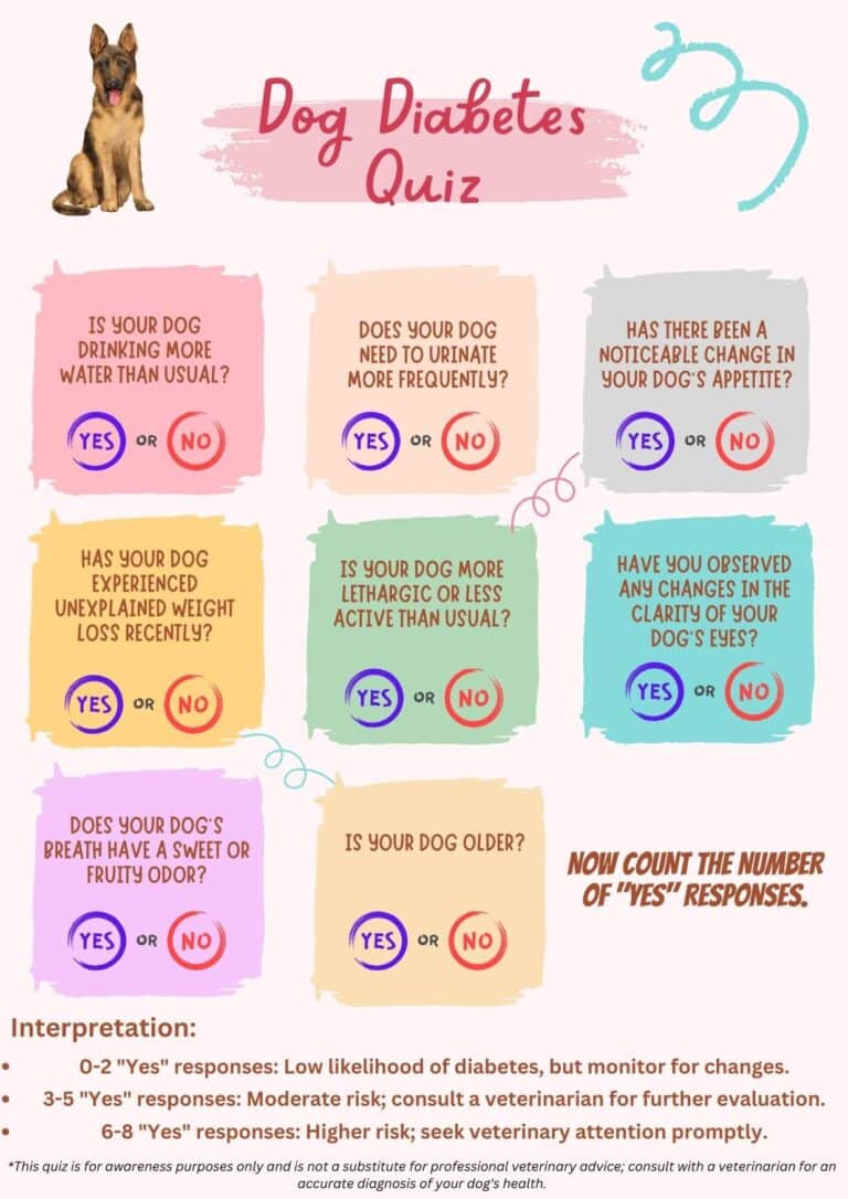 Diabetes Mellitus in German Shepherds Signs & Treatment