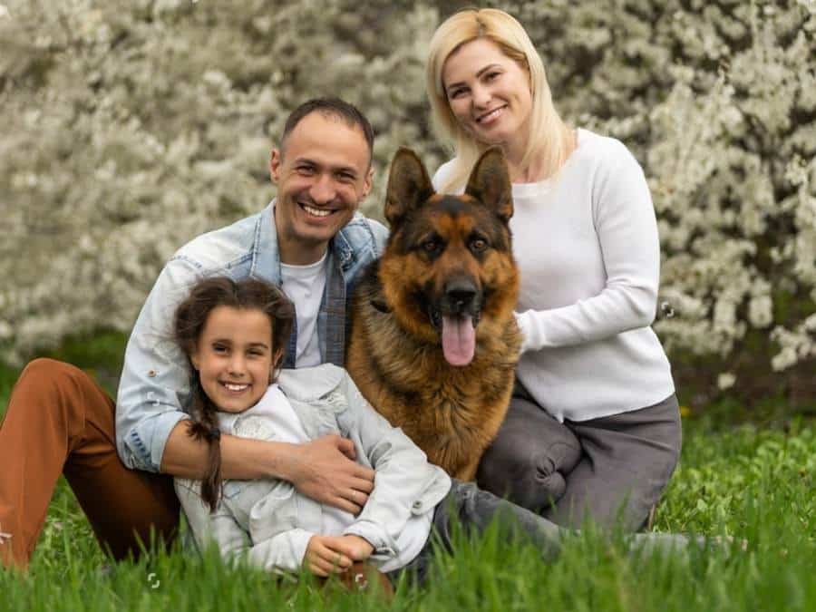 are German Shepherds good family dogs