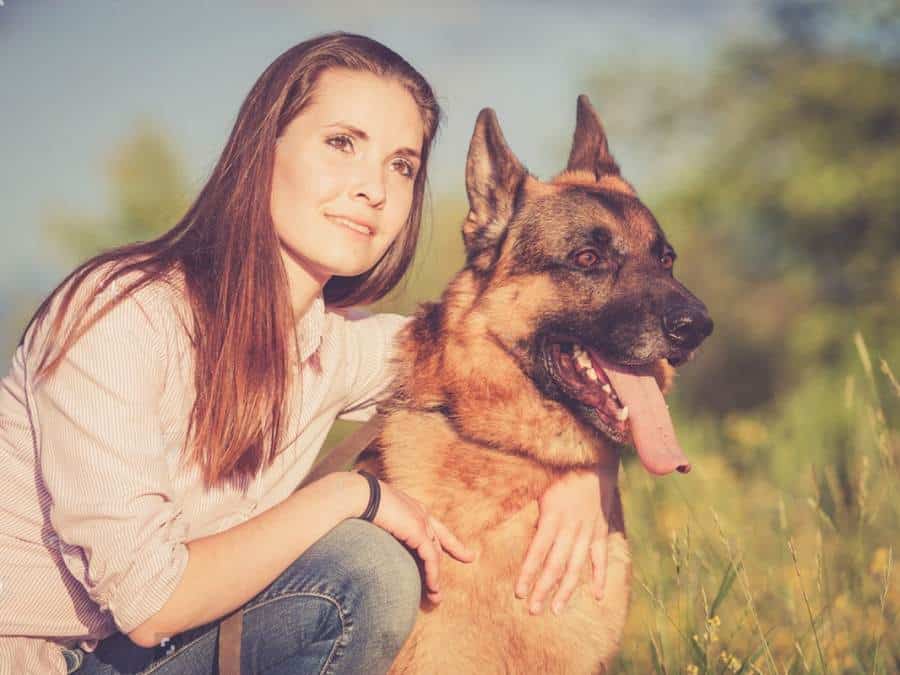 What Is The Best Age To Adopt A German Shepherd?