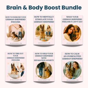 Brain & Body Boost Bundle - 6 GSD Guides