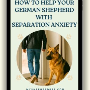 How to Help Your German Shepherd With Separation Anxiety