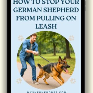How to Stop Your German Shepherd From Pulling on Leash