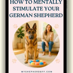 How to Mentally Stimulate Your German Shepherd