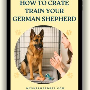 How to Crate Train Your German Shepherd