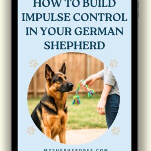 How to Build Impulse Control in Your German Shepherd