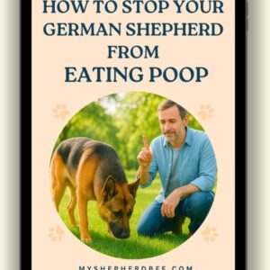 How to Stop Your German Shepherd from Eating Poop