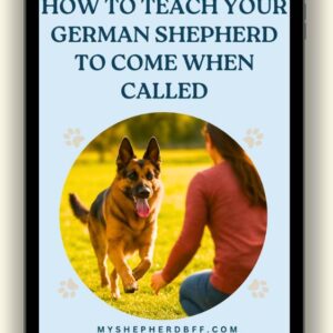How to Teach Your German Shepherd to Come When Called