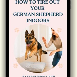 How to Tire Out Your German Shepherd Indoors