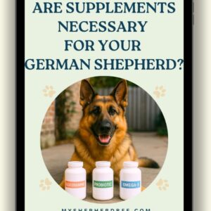 Are Supplements Necessary for Your German Shepherd?