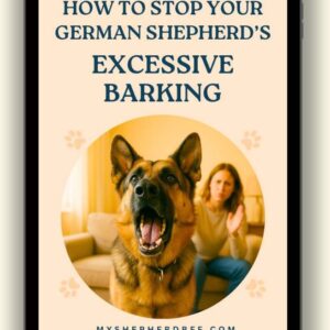 How to Stop Your German Shepherd's Excessive Barking