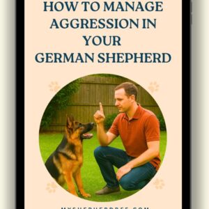 How to Manage Aggression in Your German Shepherd