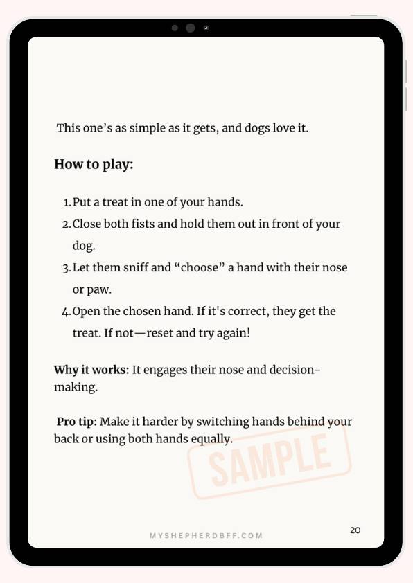 From - How to Tire Out Your German Shepherd Indoors