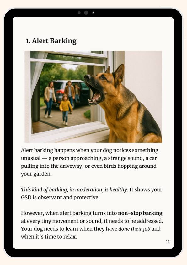 From - How to Stop Your German Shepherd's Excessive Barking