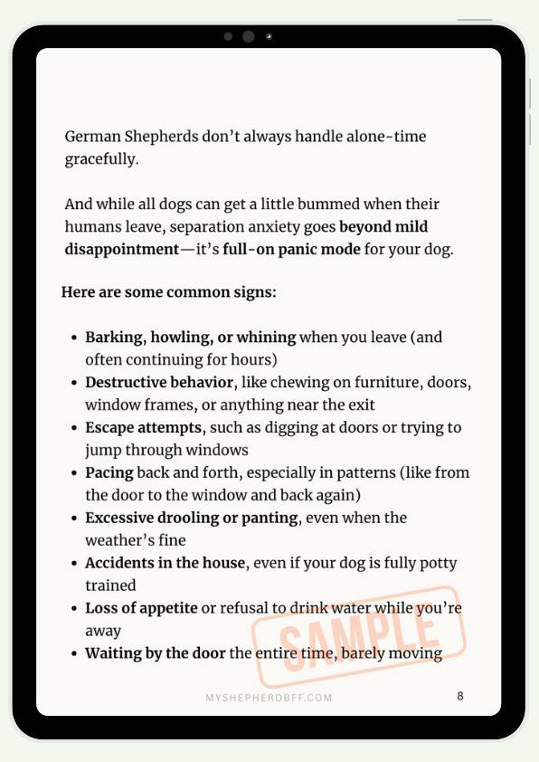 From - How to Help Your German Shepherd With Separation Anxiety