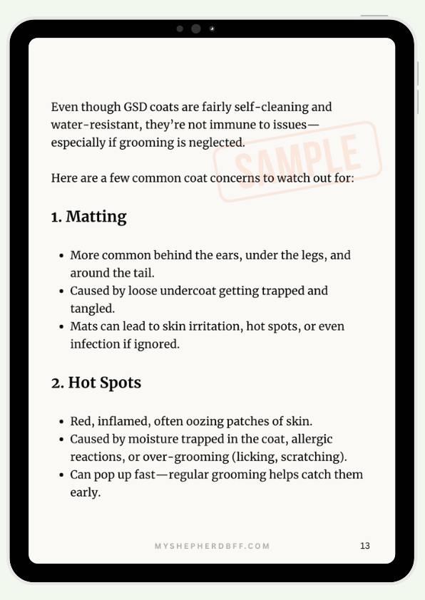 From - How to Groom Your German Shepherd the Right Way