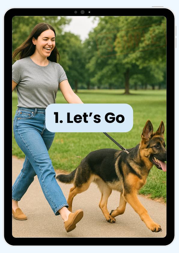 From - 30 Commands to Train Your German Shepherd for Everyday Life