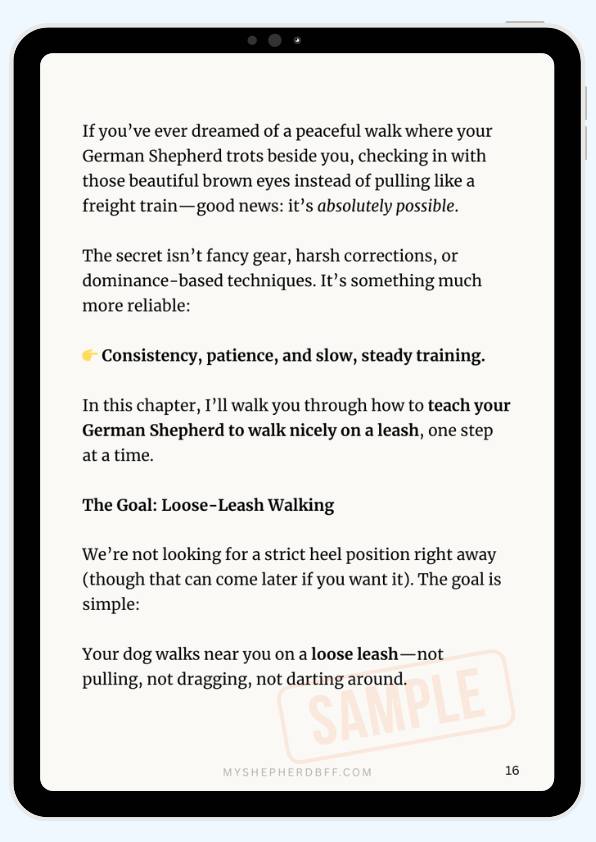 How to Stop Your German Shepherd From Pulling on Leash