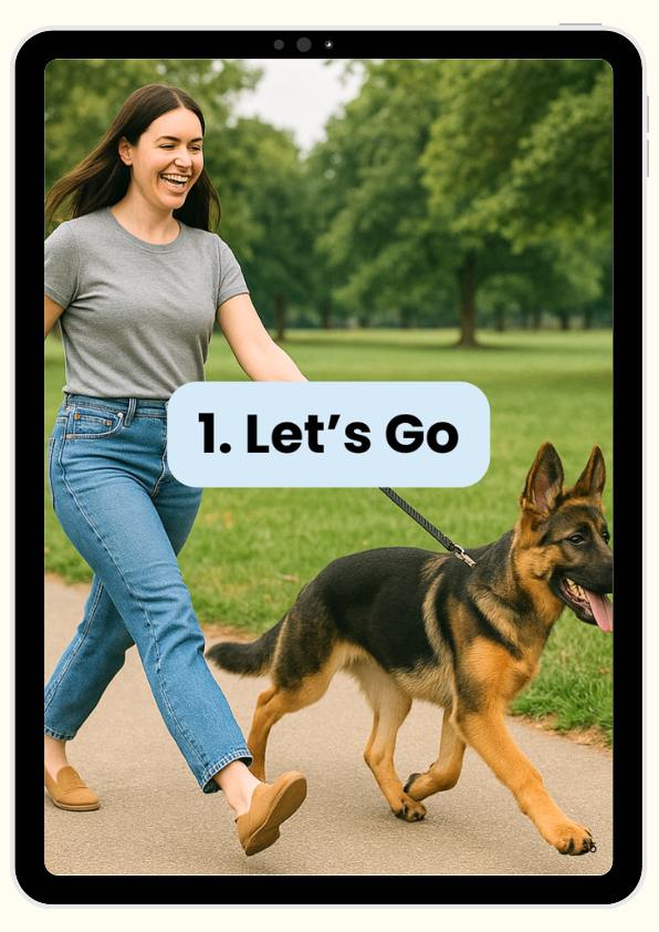 From - 30 Commands to Train Your German Shepherd for Everyday Life