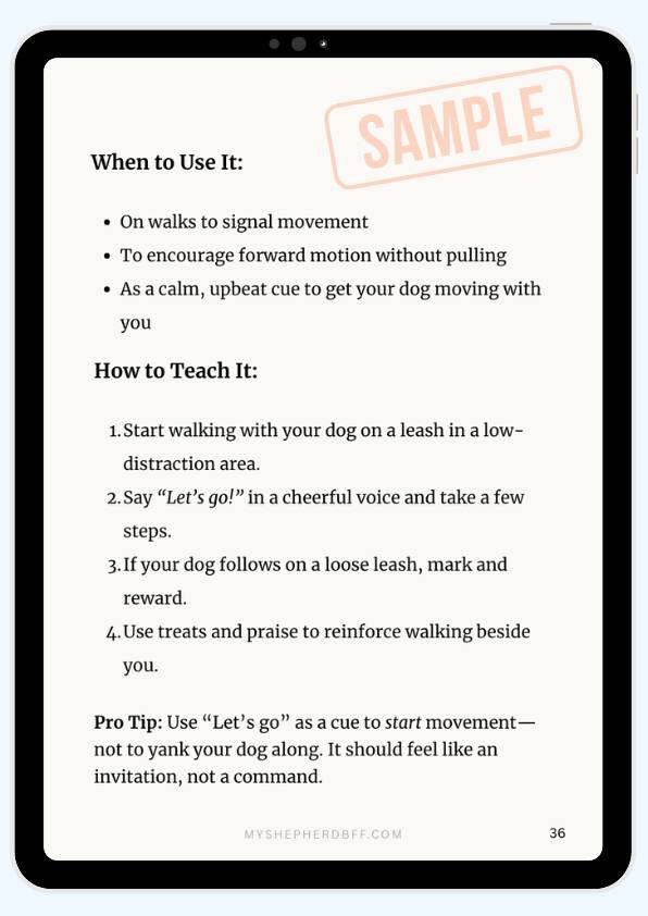From - 30 Commands to Train Your German Shepherd for Everyday Life