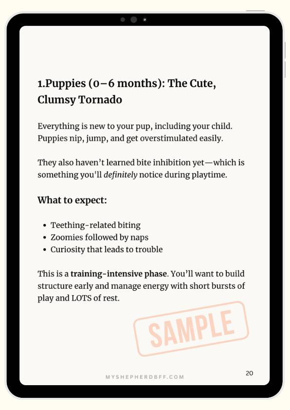 From - How to Raise a German Shepherd with Children at Home