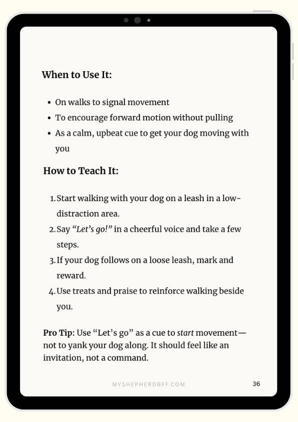 From - 30 Commands to Train Your German Shepherd for Everyday Life
