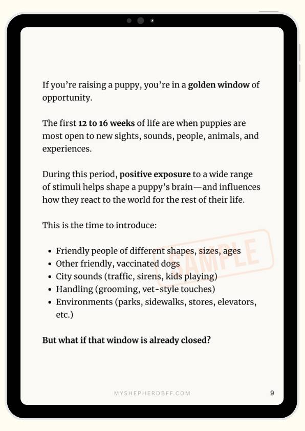 From - How to Socialize Your German Shepherd