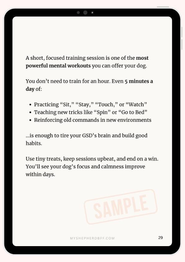 From - How to Mentally Stimulate Your German Shepherd