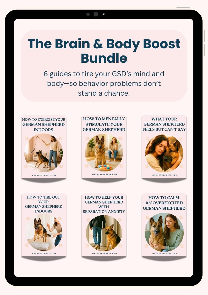 The Brain and body boost ebook bundle