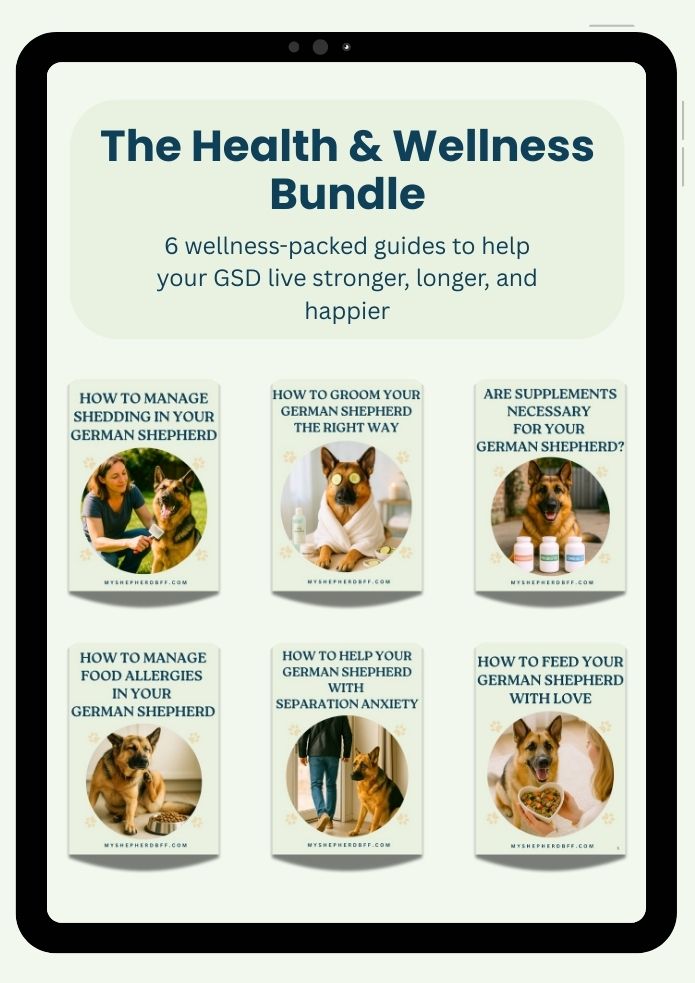 The Health and wellness ebooks bundle
