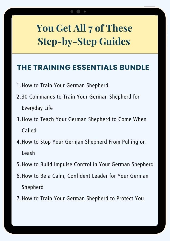 The training essentials ebook bundle 2nd page